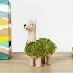 Gift Republic Llama Plantenbak met zaden (steengoed)