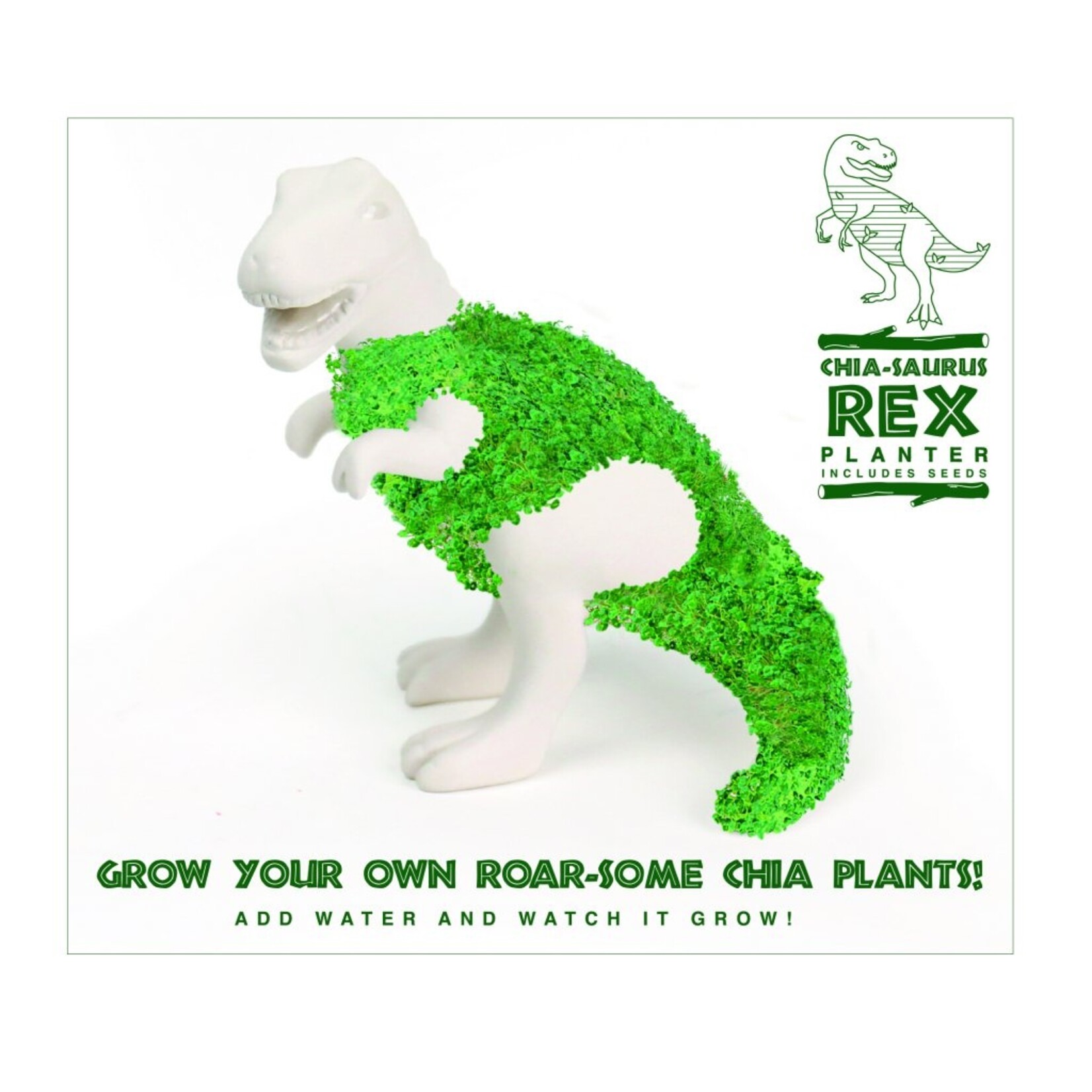 Gift Republic Saurus-rex plantenbakcomponent