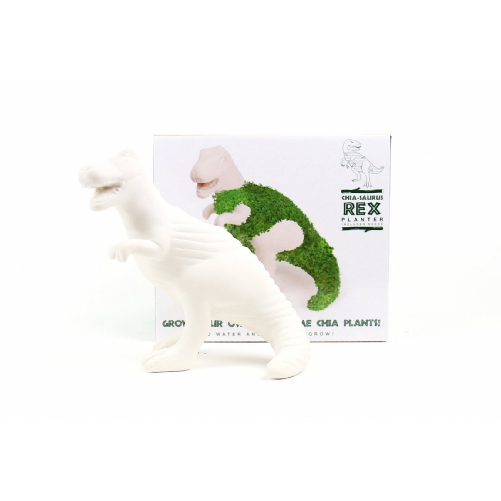 Gift Republic Saurus-rex plantenbakcomponent