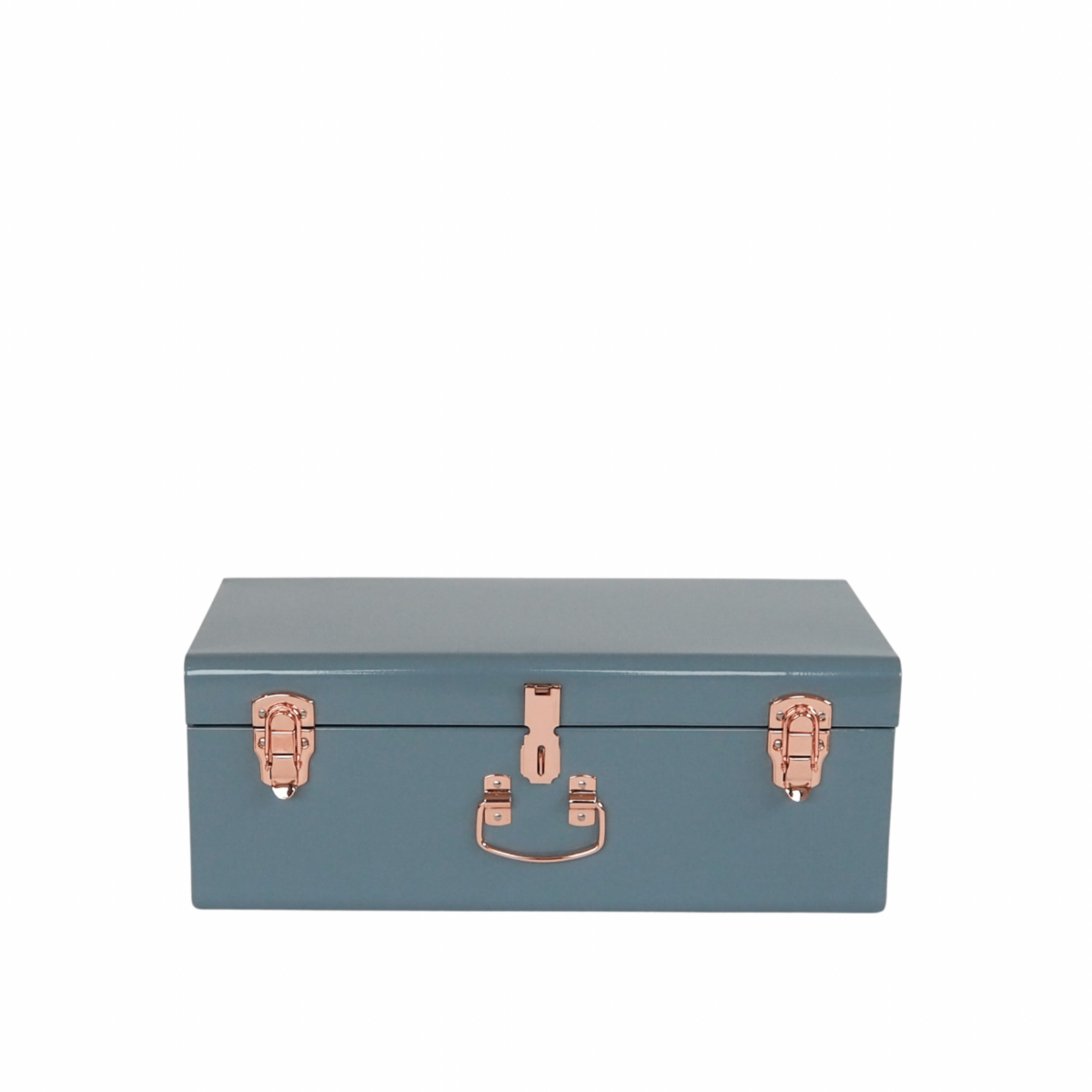 Treasure Trunks The Blueberry Blue