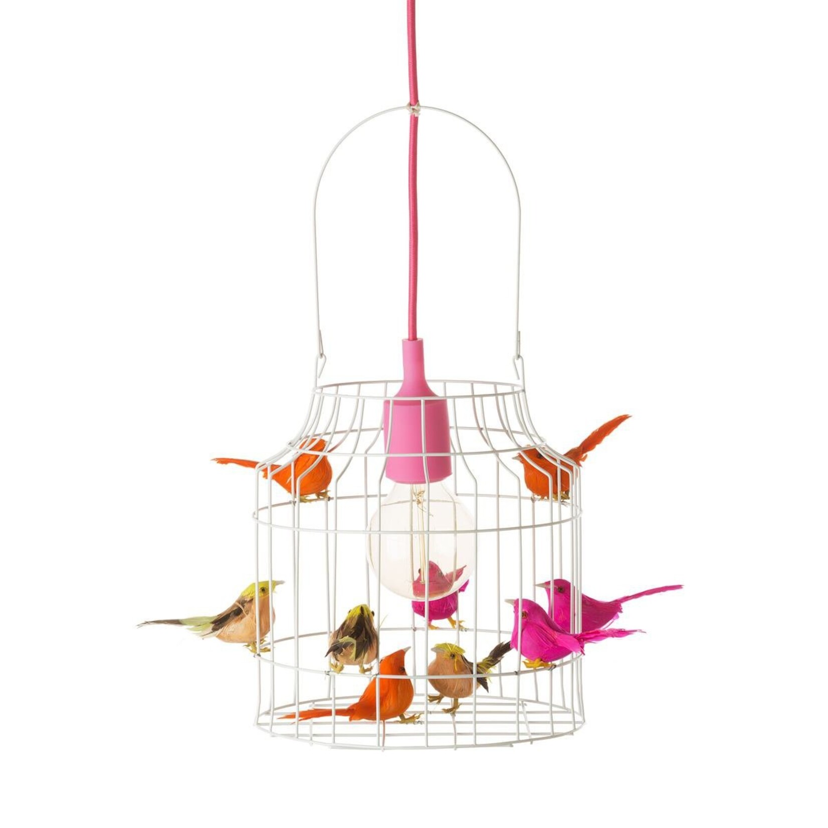 Dutch Dilight Hanglamp Vogels Neon