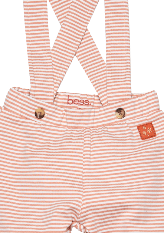 BESS Dungaree Striped | Dusty Rose