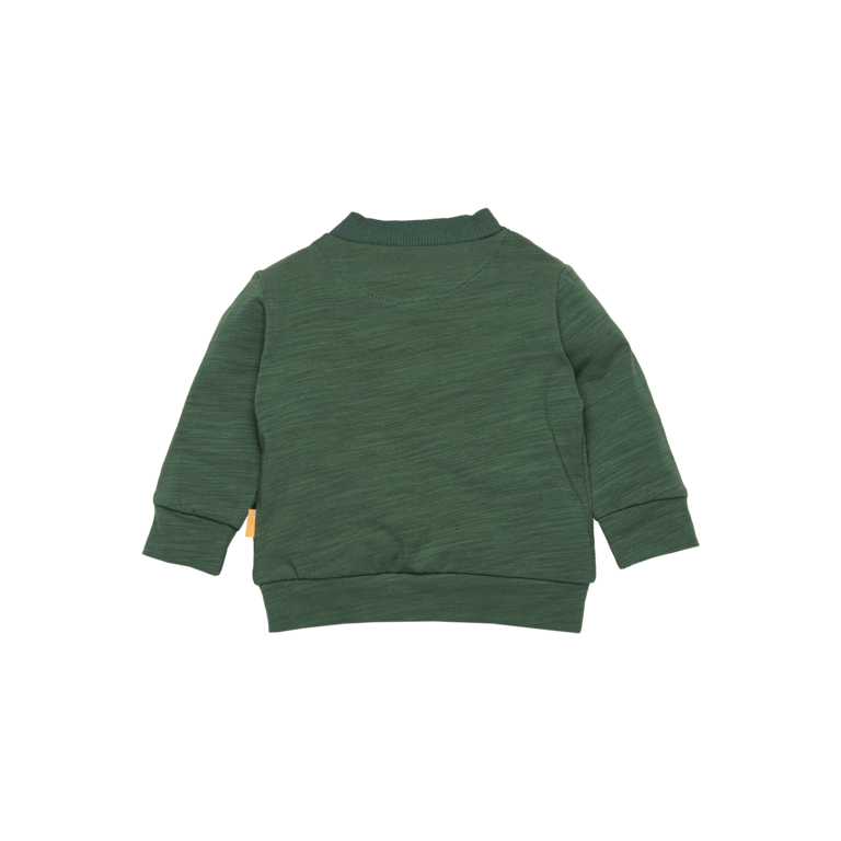 BESS Sweater BESS | Green