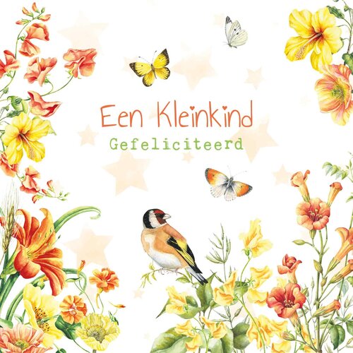 Een kleinkind