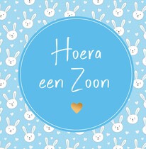 Hoera een zoon