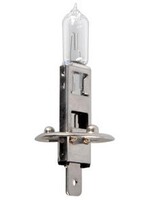 ProPlus H1 Autolampe 12V 55W im Karton