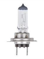 ProPlus Autolampe 12V 55W PX26d H7 im Karton