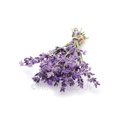 Spike Lavender Essential Oil 10 ml - Lavandula Latifolia