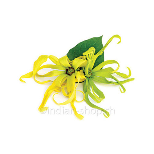 Huile Essentielle d'Ylang Ylang 5ml - Cananga Odorata