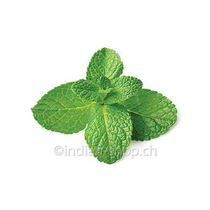 Spearmint Essential Oil 10ml