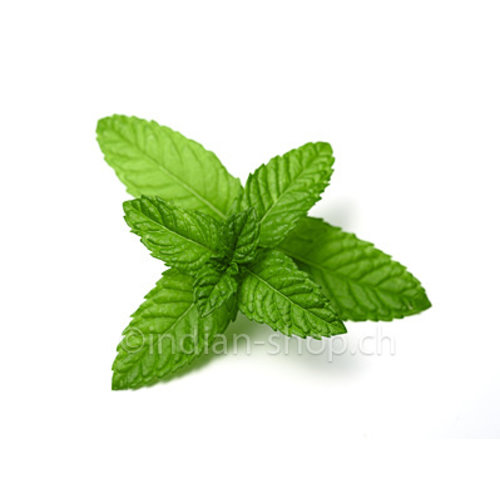 Ätherisches Pfefferminzöl 10ml - Mentha Piperita