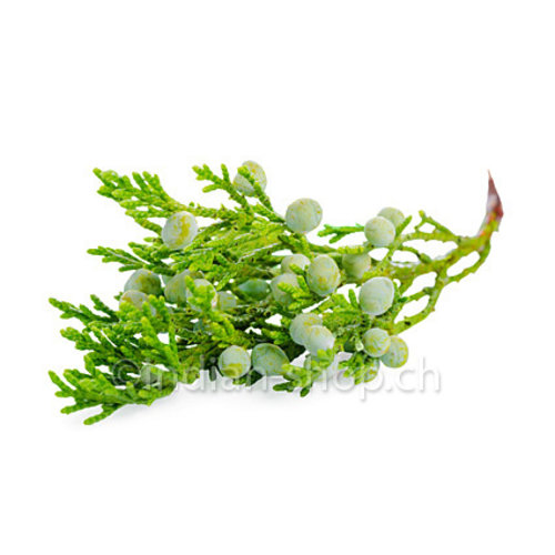 Cedarwood Texas Essential Oil 10ml Cedarwood Texas Essential Oil 10ml