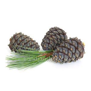 Siberian Fir Essential Oil 10ml