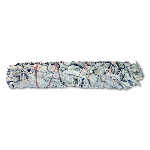 California White Sage Smudge Stick 22 cm