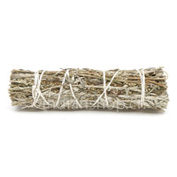 Black Sage or Mugwort 12 cm