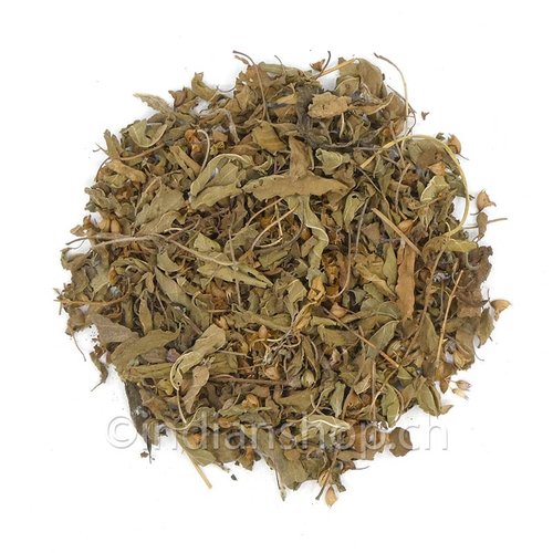 Tulsi ou Basilic Sacré - Ocimum Sanctum 50g