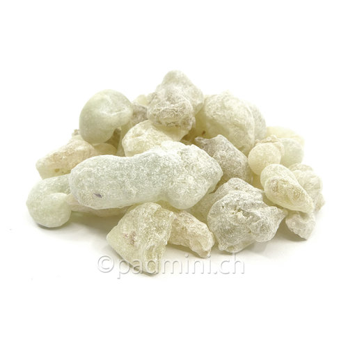 Frankincense - Boswellia Resins