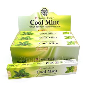 Vivasvan International Garden Fresh Cool Mint 15g