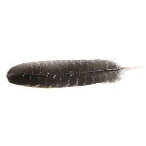 Räucherfeder 25-27 cm