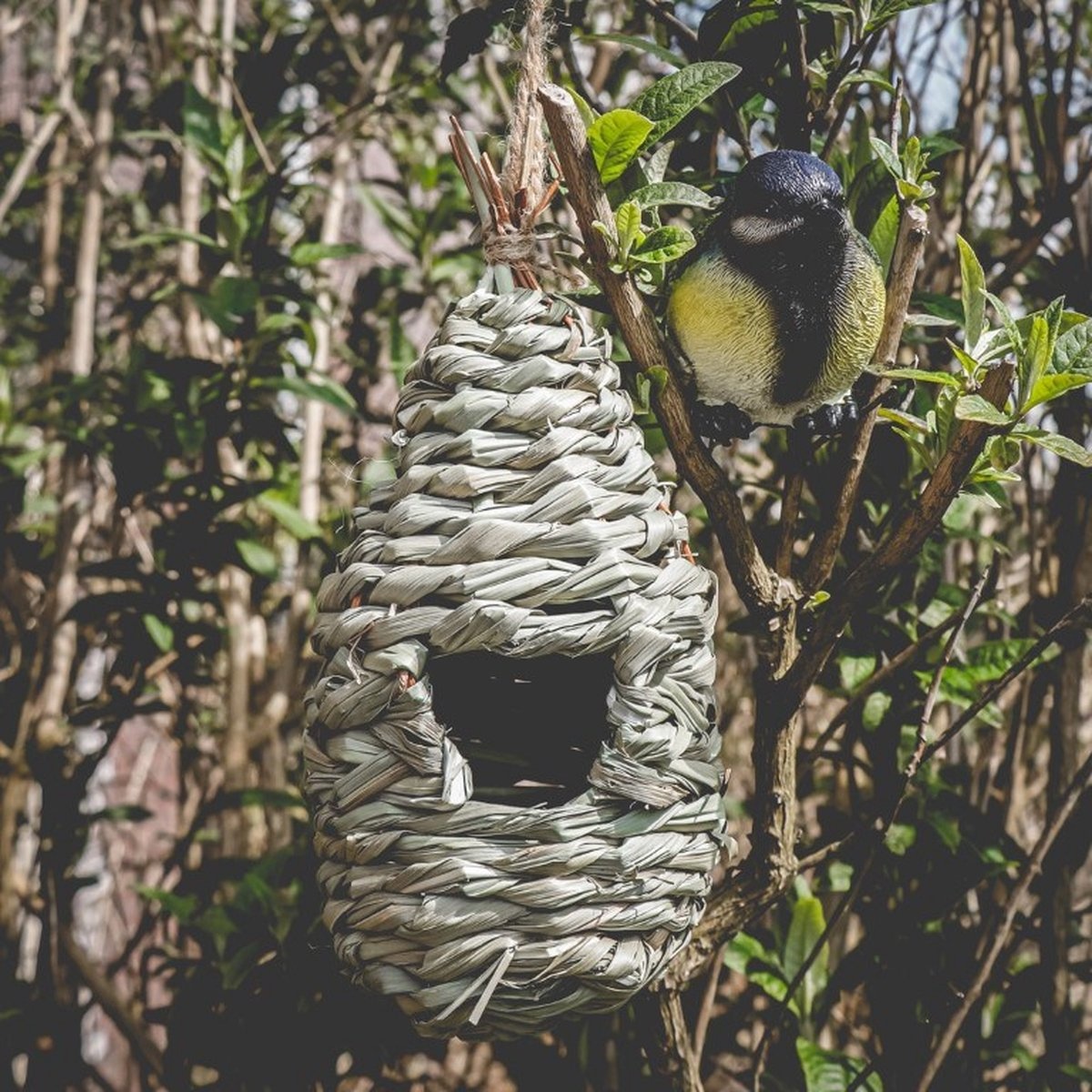 Senza Vogelhuisje - Zeegras - 24 cm