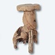 Teak Barhocker Roots