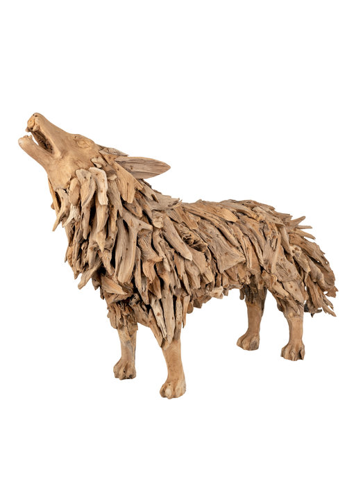 Teak Wolf