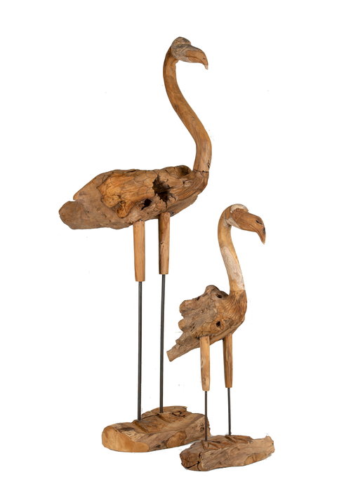 Teak Flamingo