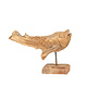 Fisch Teak XS
