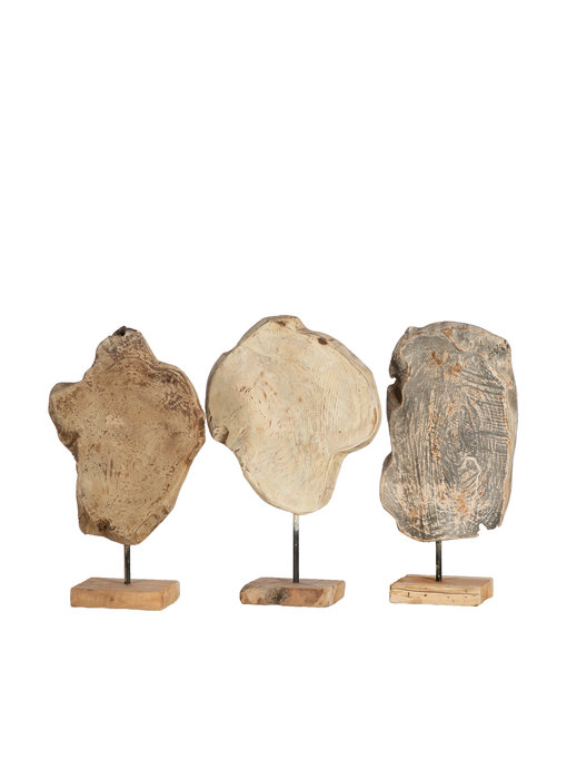 Stand - Dschungel Mini (Farbig)