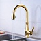 Bold keukenkraan Pull Down kraan met 2 functies goud