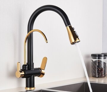 VALISA Moderne goud zwart mengkraan met aansluiting filter drinkwater
