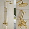 Gepolijst gouden regen douche 20cm set bad douchekraan D