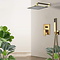 Regendouche mengkraan inbouw met handdouche goud 10inch-25cm