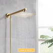 VALISA Regendouche met wand arm en 150cm doucheslang goud 20cm