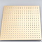 Vierkant 40x40 cm Goud gepolijst Grote Top Douchekop