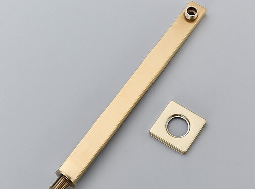 VALISA Muur arm voor douchekop geborsteld goud