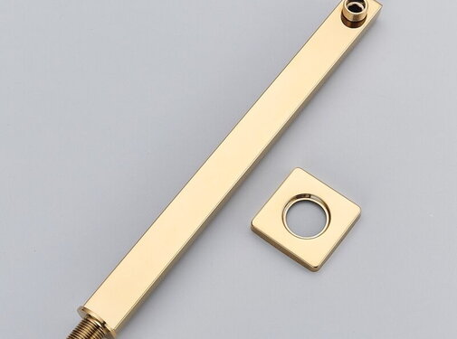 VALISA Muur arm voor douchekop goud gepolijst