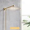 Regendouche met wand arm en 150cm doucheslang goud 25cm