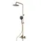 Thermostaat regendoucheset geborsteld goud 25 cm douchekop en ronde handdouche