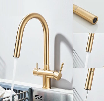 VALISA 3 in 1 water filter meng keukenkraan met pull down geborsteld goud