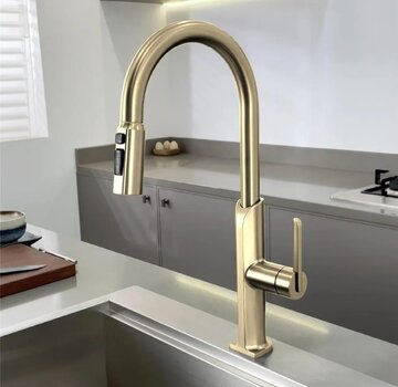 VALISA Modern design keukenkraan met uittrekbare spoelkop en twee standen geborsteld goud