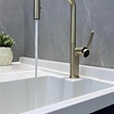 Bekijk hier onze : VALISA Ultra luxe design keukenkraan met  uitrekbare uitloop met 2 standen geborsteld goud