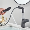 Bekijk hier onze : VALISA Luxe design uitschuifbare mengkraan met uitrekbare spoelkop 2 standen zwart