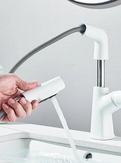 VALISA Luxe design uitschuifbare mengkraan met uitrekbare spoelkop 2 standen wit