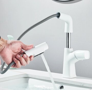 VALISA Luxe design uitschuifbare mengkraan met uitrekbare spoelkop 2 standen wit
