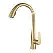 Bekijk hier onze : VALISA Modern hoog gebogen pull down keuken mengkraan met 2 functies geborsteld goud