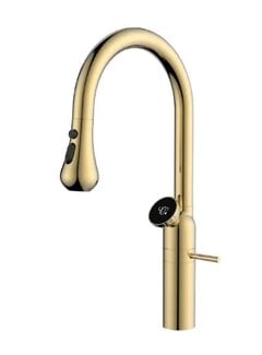 VALISA Luxe design keukenkraan met LED temperatuur display goud gepolijst
