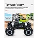 Trendtrading RC stunt auto op afstandsbediening - TA50RC - Voor kinderen en volwassenen Trendtrading RC stunt auto op afstandsbediening - TA50RC - Voor kinderen en volwassenen