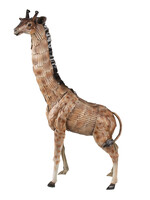 Clayre & Eef Décoration girafe 37*14*59 cm 6Y4427