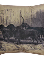 Clayre & Eef Coussin rempli 43*43*4 cm KG023.091